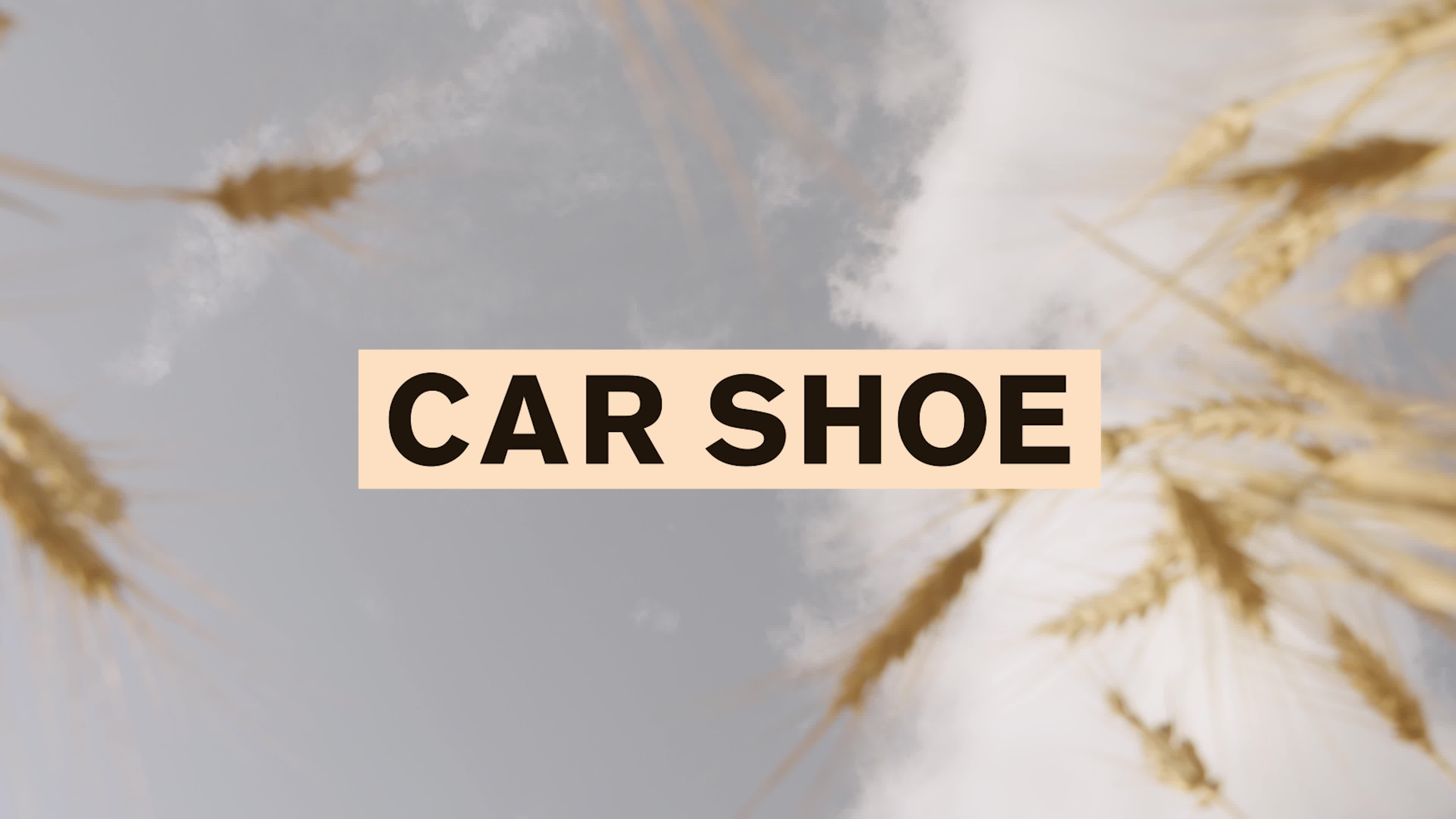 car shoe prada